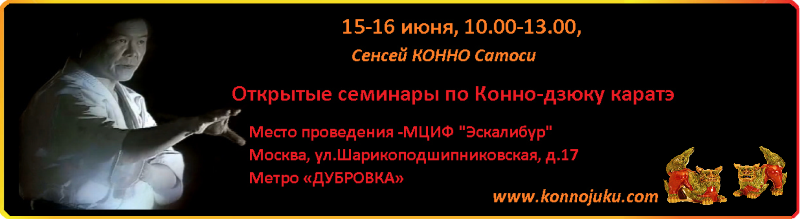 Открытые семинары по каратэ Конно Сатоси 今野敏